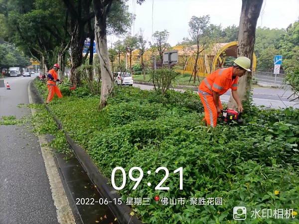 項(xiàng)目動(dòng)態(tài) | 打造美麗鳳城，筑文明城市生態(tài)